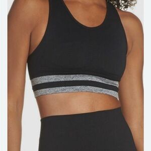 LNDR  Black and Gray Sports Bra